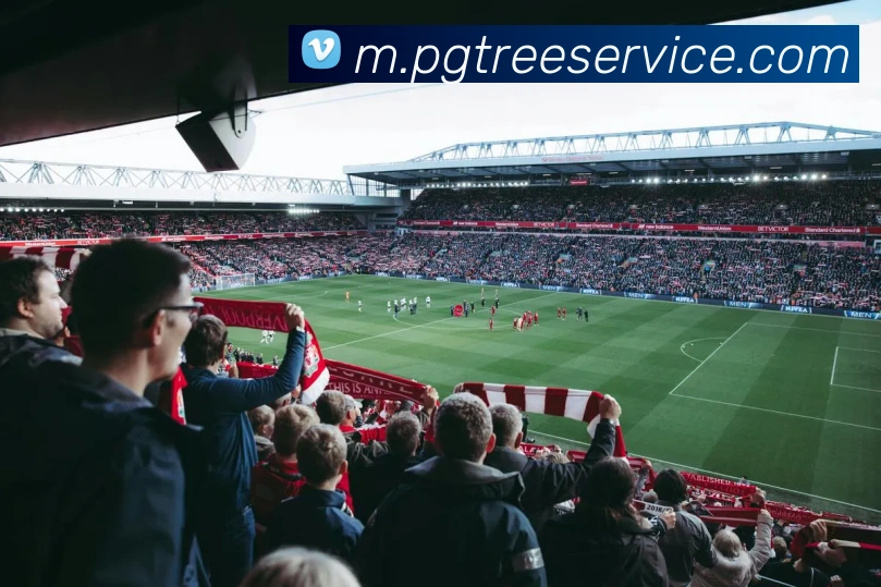 pg电子服务体系